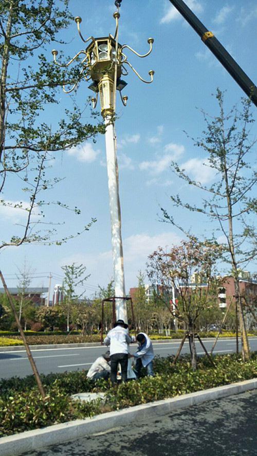 管家婆黄大仙彩图